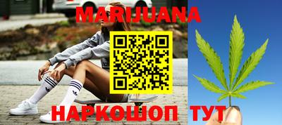тгк Кингисепп