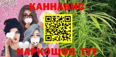 тгк Кингисепп