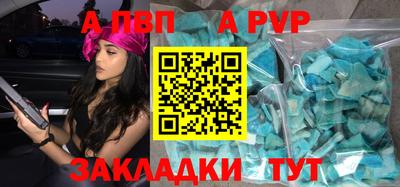 тгк Кингисепп