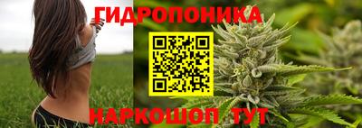 тгк Кингисепп
