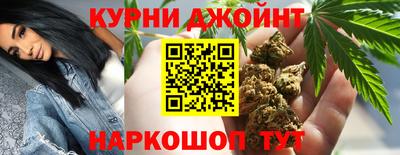 тгк Кингисепп