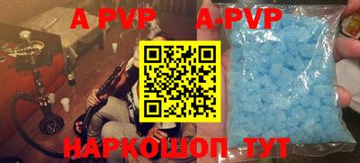 тгк Кингисепп