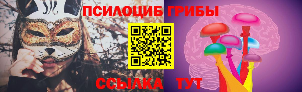 Галлюциногенные грибы прущие грибы Елабуга