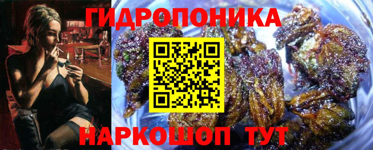 Канабис тримм  Марихуана Amnesia  Конопля ГИДРОПОН  Елабуга  МАРИХУАНА планчик  Вход с VPN 